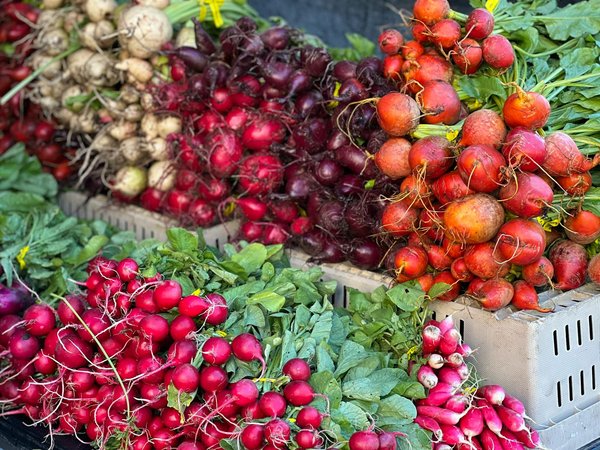 Transform your diet: discover how a programmable coffee maker with calorie tracking can enhance your wellness journey